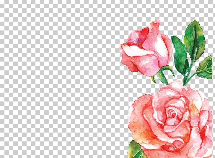 Gramado Watercolor Painting Flower Pink PNG, Clipart, Artificial Flower, Bachelor, Centifolia Roses, Color, Cut Flowers Free PNG Download