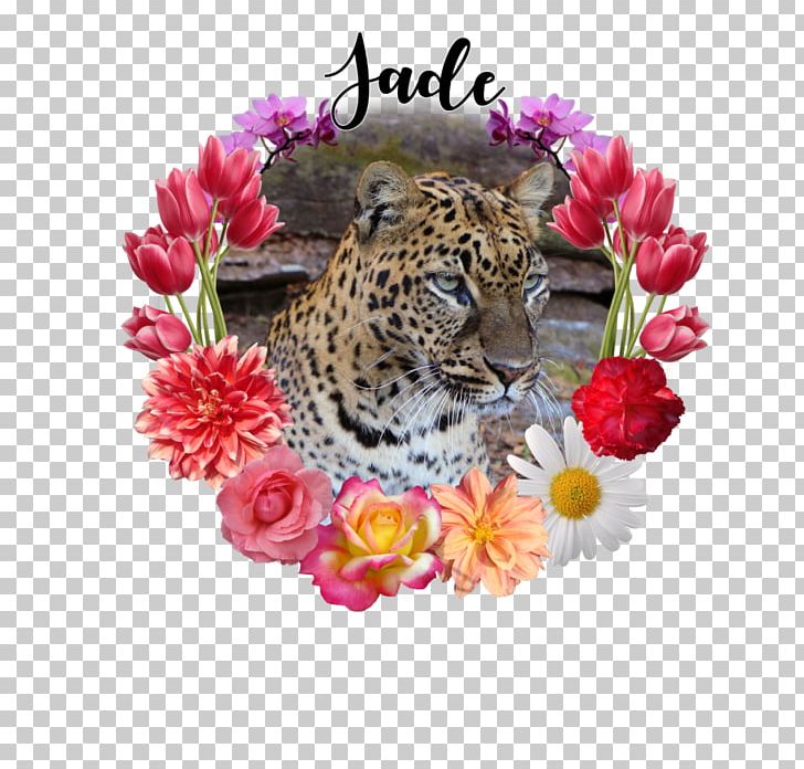 Leopard Cat Flowerz Whiskers Lexa Hill PNG, Clipart, Animals, Big Cat, Big Cats, Carnivoran, Cat Free PNG Download