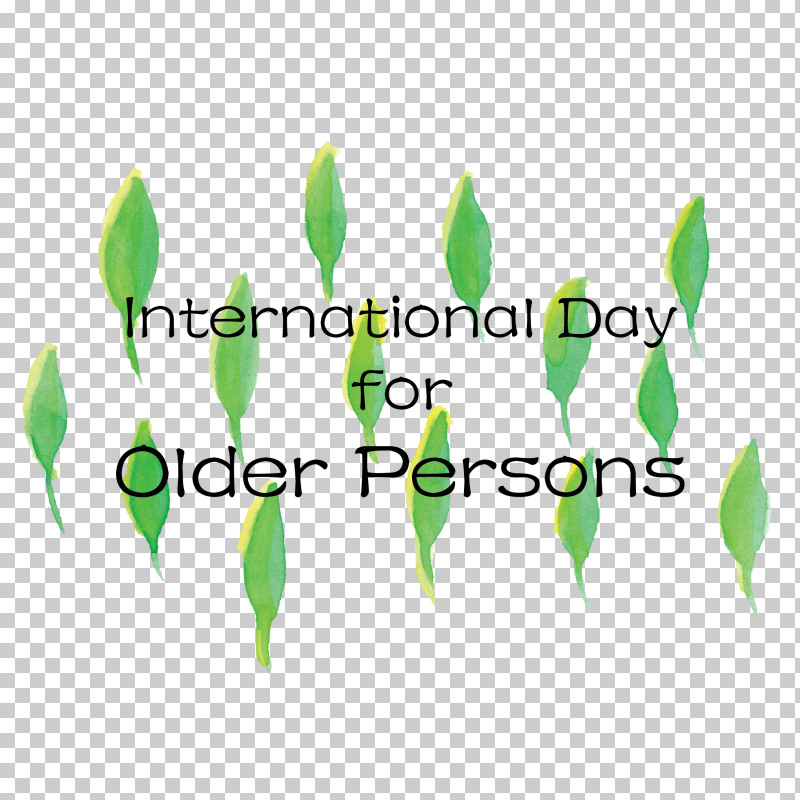 International Day For Older Persons PNG, Clipart, Biology, Branching, Green, International Day For Older Persons, Leaf Free PNG Download