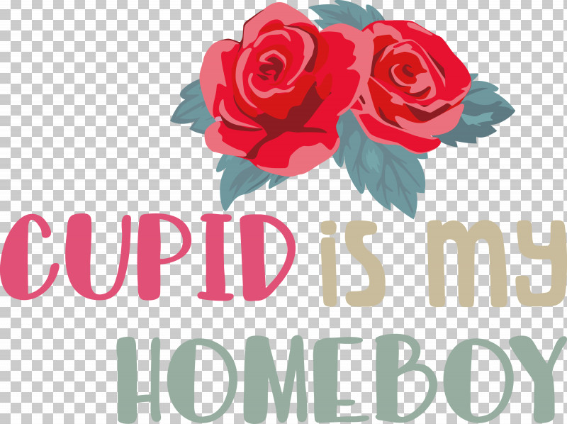 Cupid Is My Homeboy Cupid Valentine PNG, Clipart, Cupid, Drawing, Flower, Flower Bouquet, Garden Roses Free PNG Download