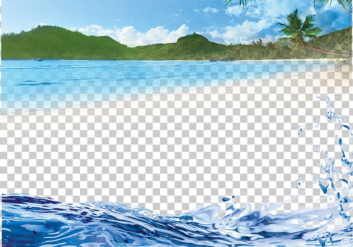 Arecaceae Wall Beach PNG, Clipart, Beach Ball, Beaches, Beach Party, Beach Sand, Beach Umbrella Free PNG Download