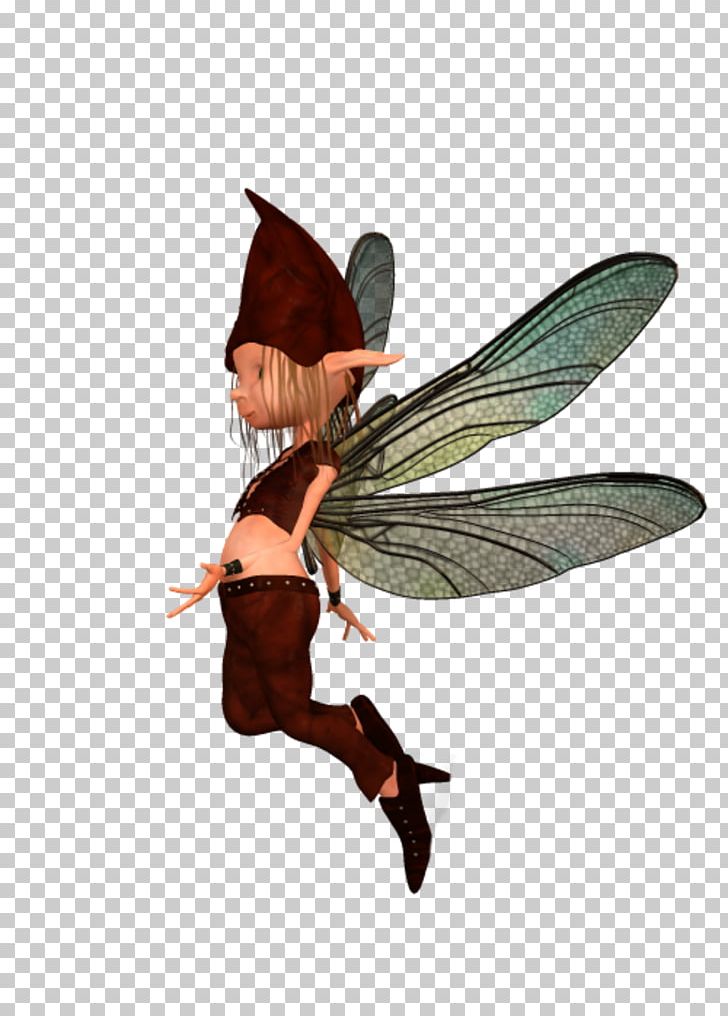 Fairy PNG, Clipart, Fairy, Fantasy, Fictional Character, Hobgoblin, Membrane Winged Insect Free PNG Download