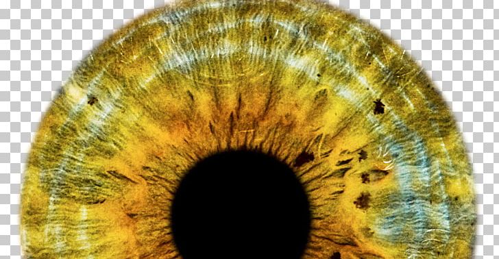 Human Eye Contact Lenses PNG, Clipart, Circle, Closeup, Color, Contact Lenses, Desktop Wallpaper Free PNG Download