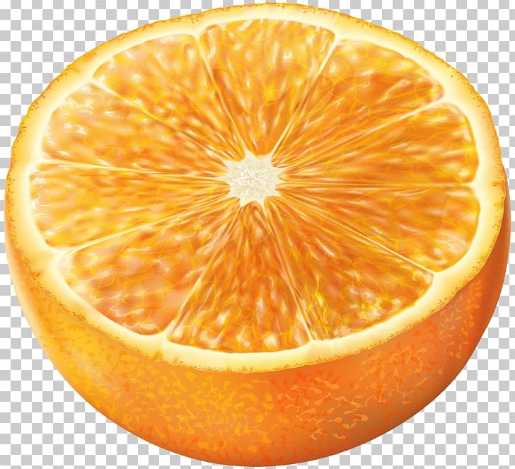 Blood Orange Juice Tangerine PNG, Clipart, Bitter Orange, Blood Orange, Citric Acid, Citrus, Clementine Free PNG Download