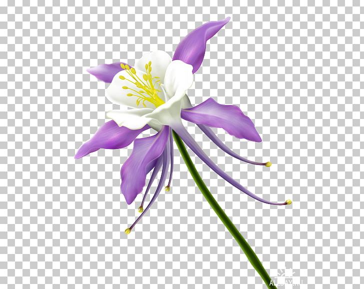 Flower Floral Design PNG, Clipart, Flora, Floral Design, Flower, Flowering Plant, Flowers Free PNG Download