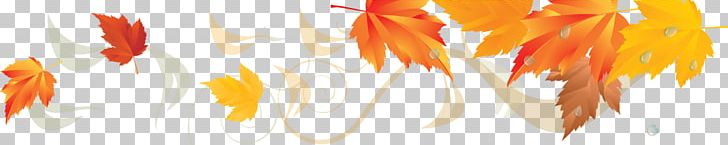 Portable Network Graphics Desktop Leaf PNG, Clipart, Ansichtkaart, Autumn, Autumn Leaves, Closeup, Computer Icons Free PNG Download