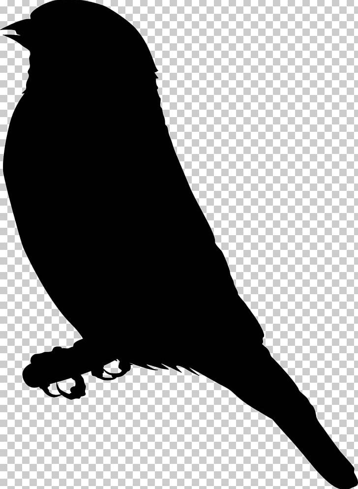 Finch Drawing Computer Icons PNG, Clipart, Animals, Beak, Bird, Black And White, Computer Icons Free PNG Download