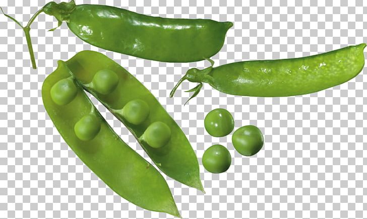 Pea PNG, Clipart, Pea Free PNG Download