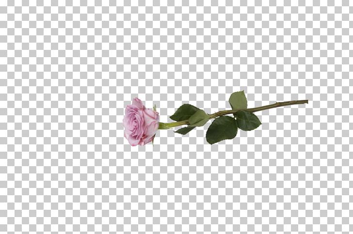 Petal Cut Flowers Rose Flowering Plant PNG, Clipart, Cut Flowers, Flower, Flowering Plant, Lilac, Petal Free PNG Download