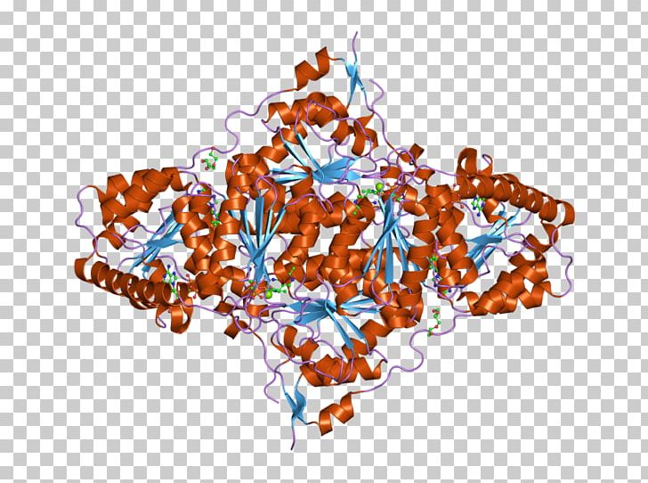 Thymidine Kinase From Herpesvirus Ganciclovir Antiviral Drug PNG, Clipart, Aciclovir, Antiviral Drug, Art, Herpes Simplex, Herpesviruses Free PNG Download