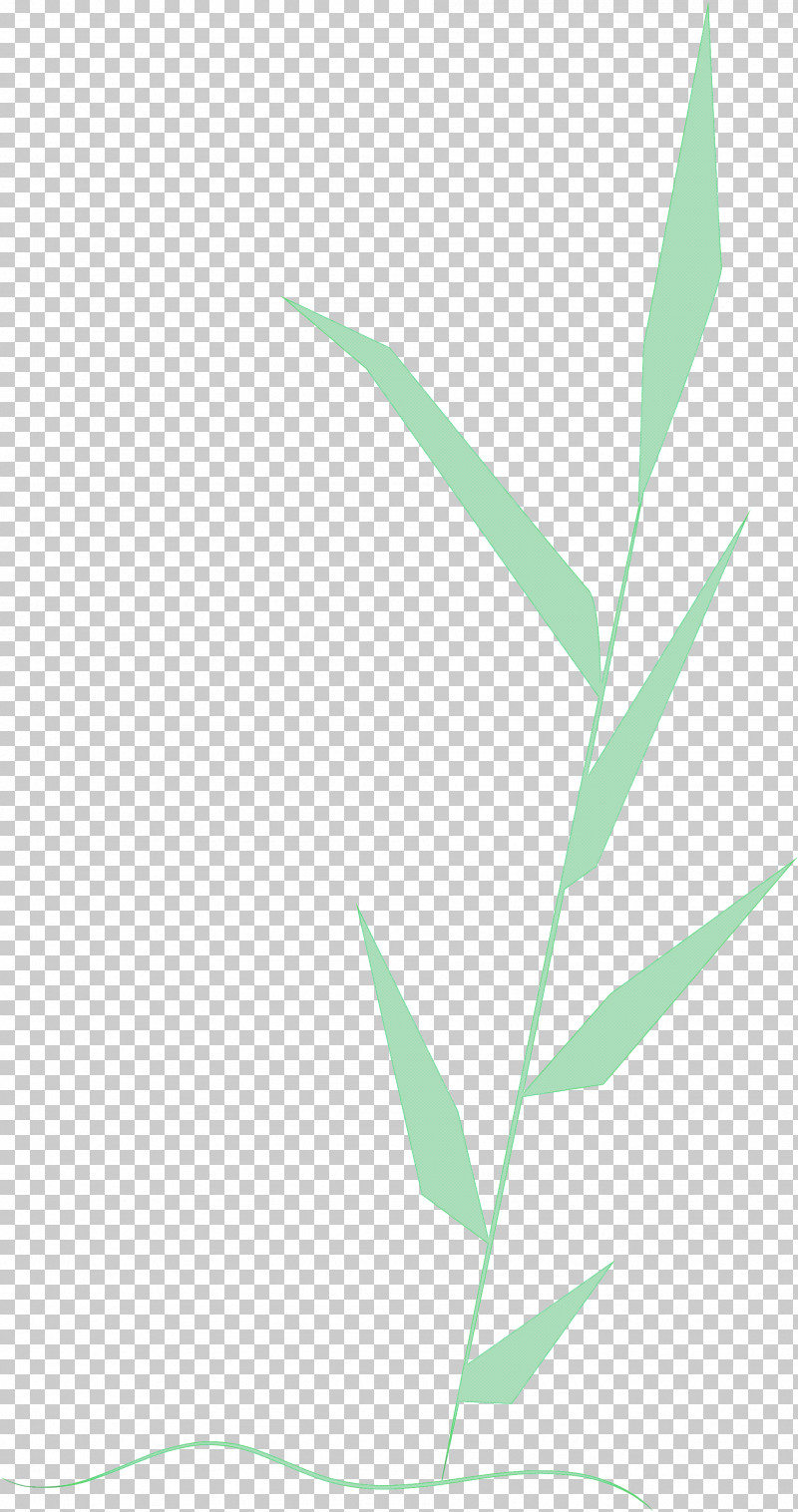 Palm Trees PNG, Clipart, Angle, Branch, Grasses, Green, Houseplant Free PNG Download
