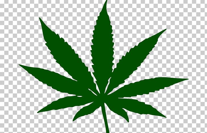 Hash PNG, Clipart, Amp, Bong, Cannabinoid, Cannabis, Cannabis Smoking Free PNG Download