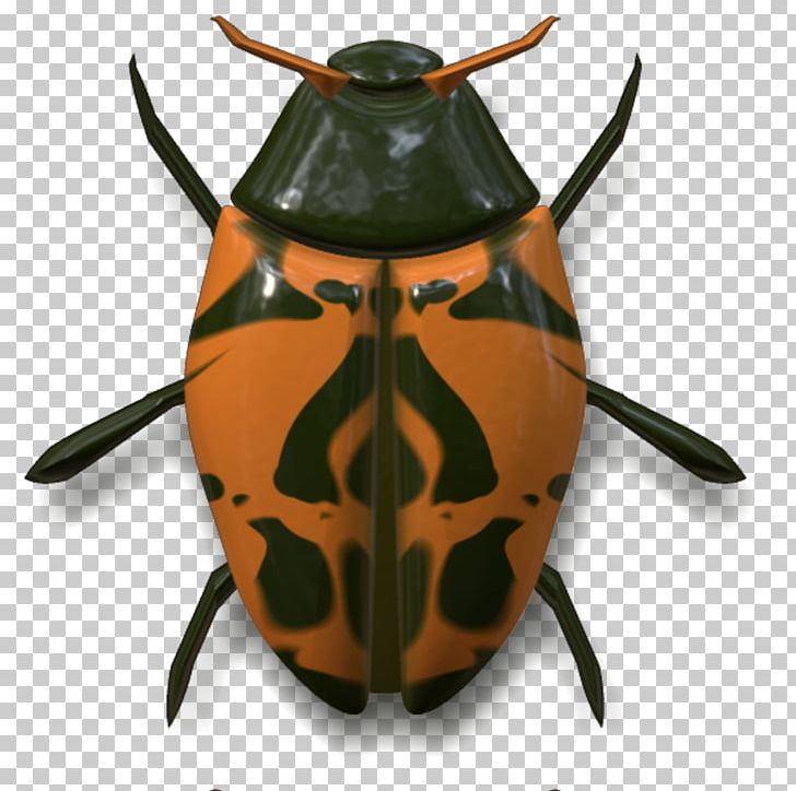 Insect Volkswagen Beetle Animal PNG, Clipart, Animal, Animals, Arthropod, Beetle, Car Free PNG Download