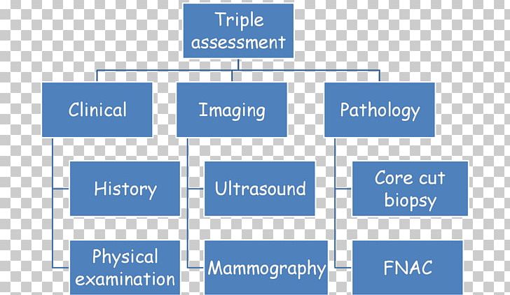 Organizational Structure Scope Work Breakdown Structure Management PNG, Clipart, Angle, Area, Biopsy, Brand, Business Free PNG Download