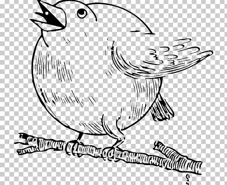Galliformes Others Vertebrate PNG, Clipart, Art, Artwork, Beak, Bird, Black And White Free PNG Download