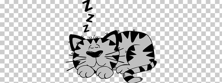 Cat Kitten Sleep PNG, Clipart, Big Cats, Black, Carnivoran, Cartoon, Cat Like Mammal Free PNG Download
