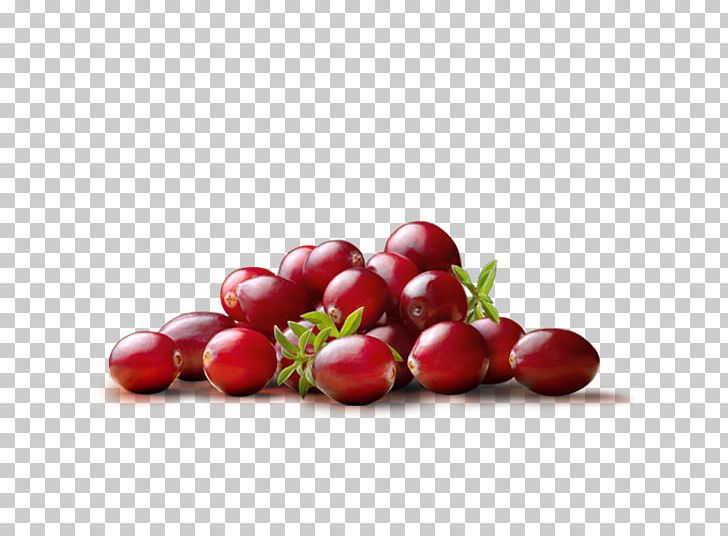 Cranberry Juice Kissel Blueberry PNG, Clipart, Auglis, Berry, Blueberry, Cherry, Cranapple Juice Free PNG Download