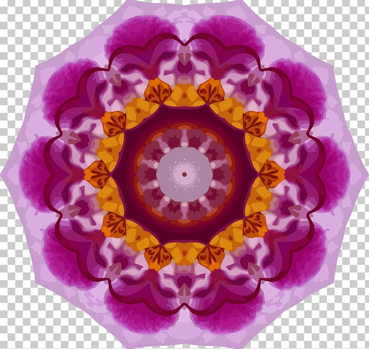 Kaleidoscope PNG, Clipart, Adobe Muse, Blossom, Color, Computer Icons, Flower Free PNG Download