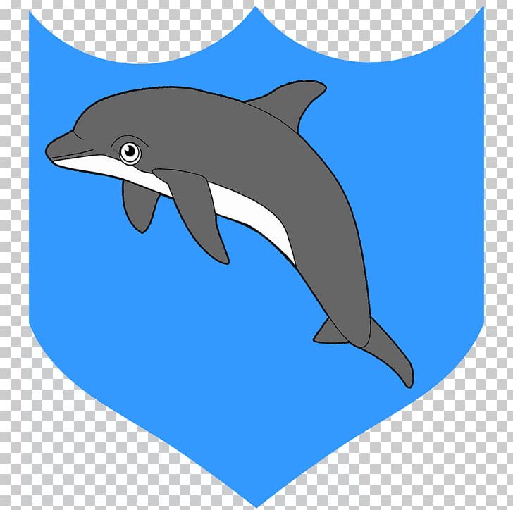 Porpoise Rough-toothed Dolphin Tucuxi Wholphin PNG, Clipart, Animals, Cetacea, Fauna, Film, Fin Free PNG Download