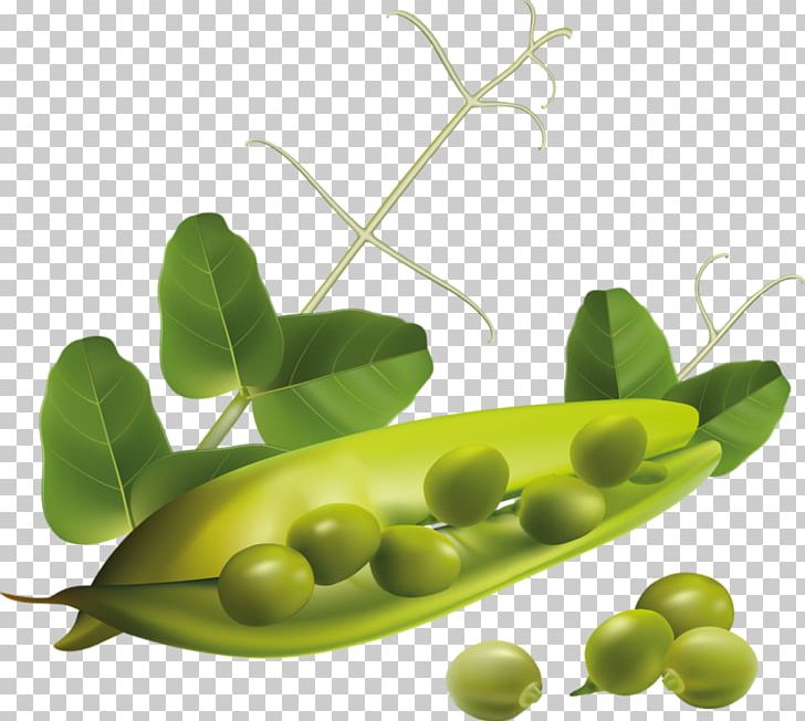 Vegetarian Cuisine Vegetable Pea PNG, Clipart, Commodity, Drawing, Food, Food Drinks, Fruit Free PNG Download