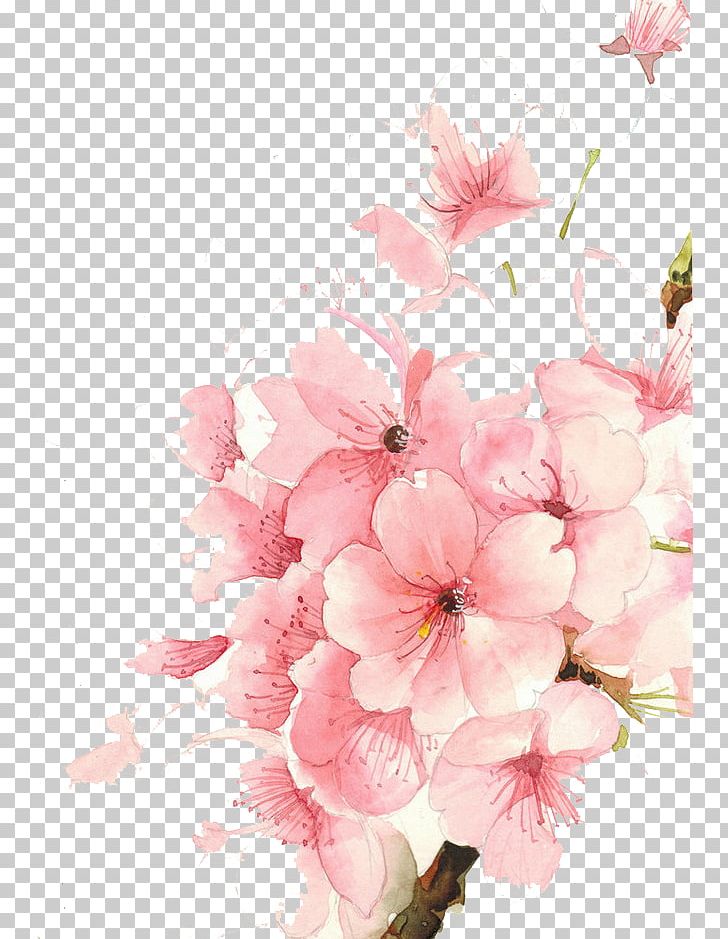 Watercolour Flowers Watercolor Painting Drawing PNG, Clipart, Art, Blossom, Branch, Cartoon, Cherry Blossom Free PNG Download