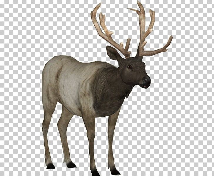 Zoo Tycoon 2: Marine Mania Elk Deer PNG, Clipart, Animal, Animals, Antler, Deer, Elk Free PNG Download