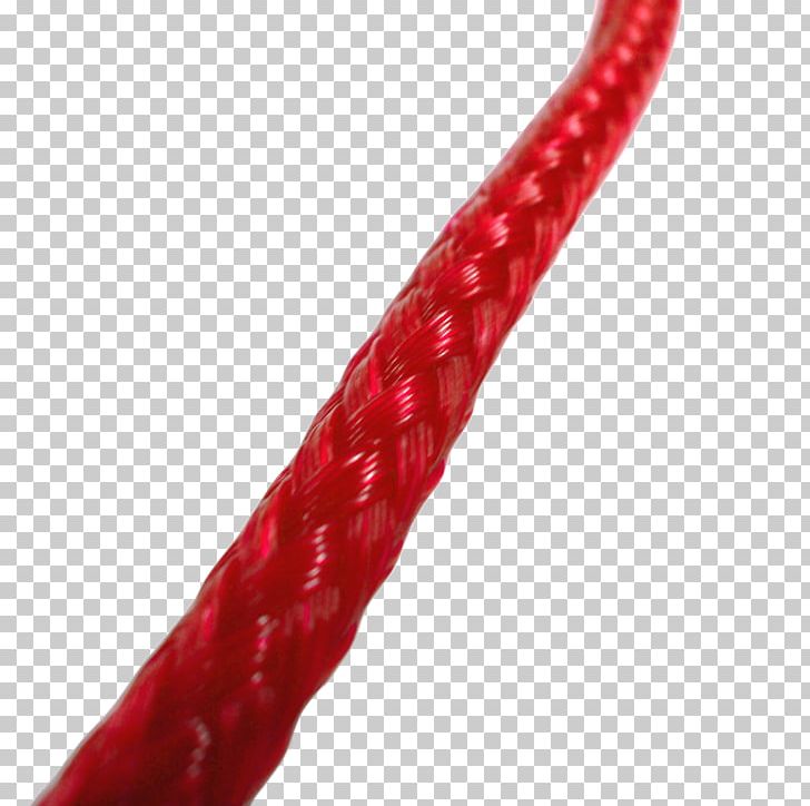 Rope Leash Foot Braid Polyethylene PNG, Clipart, Braid, Dog, Foot, Gang, Kitchen Free PNG Download