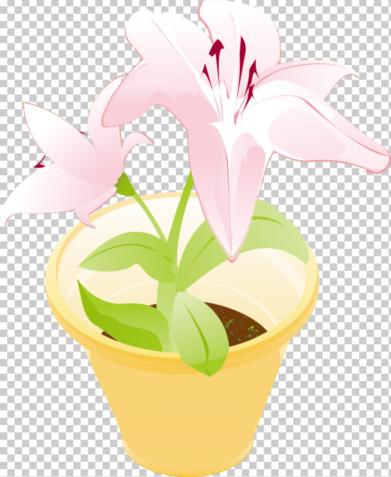 Flower Floral Vase PNG, Clipart, Amaryllis Belladonna, Anthurium, Cattleya, Cut Flowers, Floral Free PNG Download