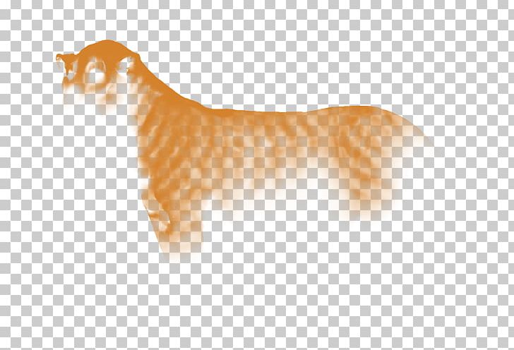 Whiskers Cat Cougar Dog Wildlife PNG, Clipart, Animals, Big Cat, Big Cats, Canidae, Carnivoran Free PNG Download