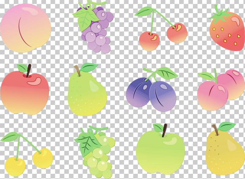 Vegetable Apple PNG, Clipart, Apple, Paint, Vegetable, Watercolor, Wet Ink Free PNG Download