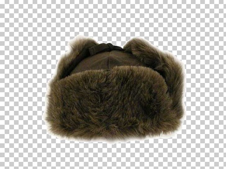 Fur Clothing Ushanka PNG, Clipart, Clothing, Dk Jungle Climber, Fur, Furcap, Fur Clothing Free PNG Download