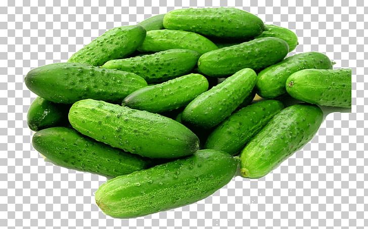 Pickled Cucumber Vegetable Pickling Fruit PNG, Clipart, Can, Chili Pepper, Cucumber, Cucumber Gourd And Melon Family, Cucumis Free PNG Download