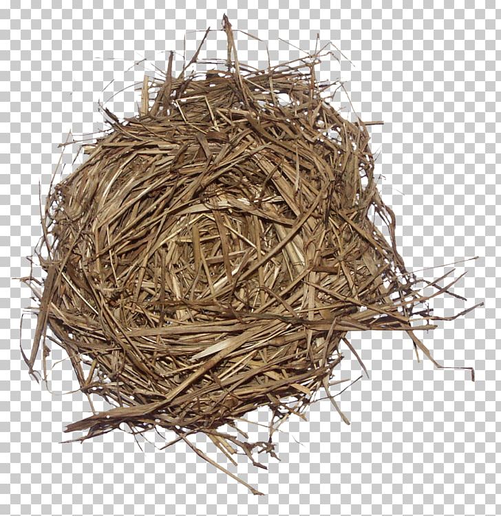 Weed Bird Edible Birds Nest PNG, Clipart, Artificial Grass, Bird, Birdcage, Bird Nest, Birds Nest Free PNG Download