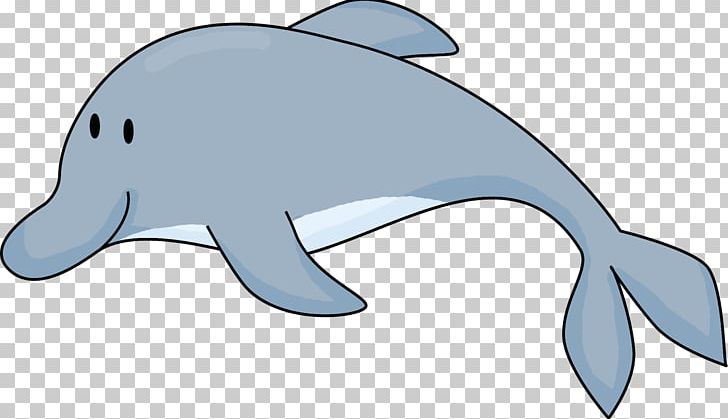 Common Bottlenose Dolphin Tucuxi Rough-toothed Dolphin Porpoise PNG, Clipart, Bottlenose Dolphin, Cartoon, Computer, Desktop Wallpaper, Fauna Free PNG Download