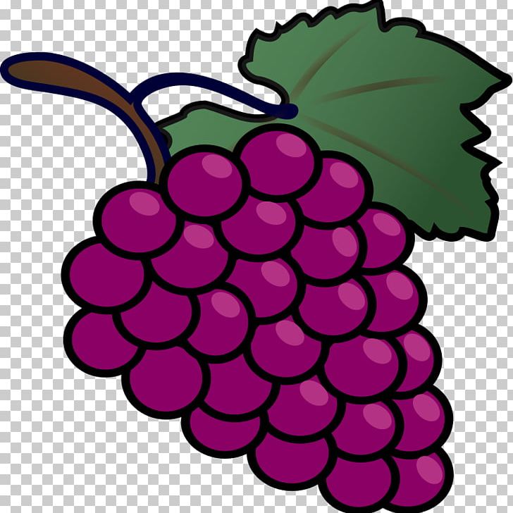 Common Grape Vine Drawing PNG, Clipart, Artwork, Book Illustration, Cartoon, Common Grape Vine, Computer Icons Free PNG Download
