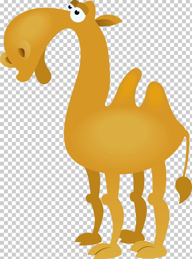 Bactrian Camel Cartoon Drawing PNG, Clipart, Animal, Animals, Balloon Cartoon, Beak, Bird Free PNG Download