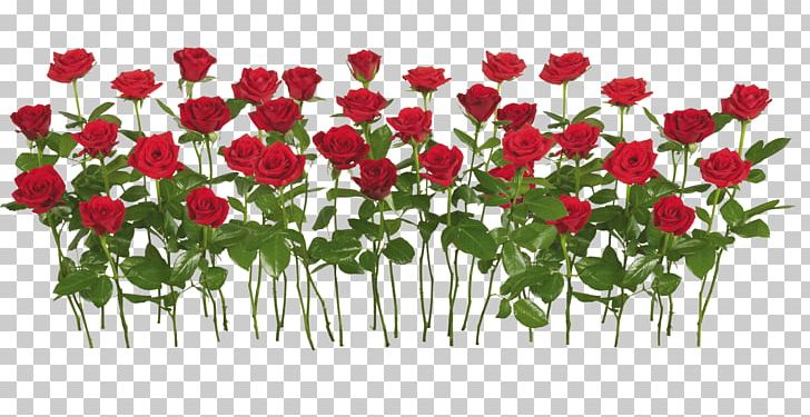 Rose Flower Shrub PNG, Clipart, Annual Plant, Artificial Flower, Creative, Creative Flowers, Flower Arranging Free PNG Download