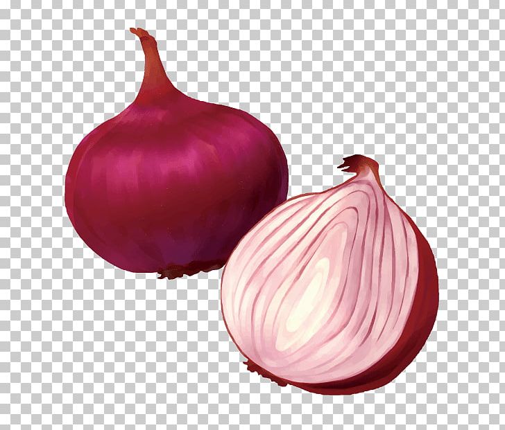 Shallot Yellow Onion Vegetable Food Red Onion PNG, Clipart, Food, Food Drinks, Green, Ingredient, Kesit Free PNG Download