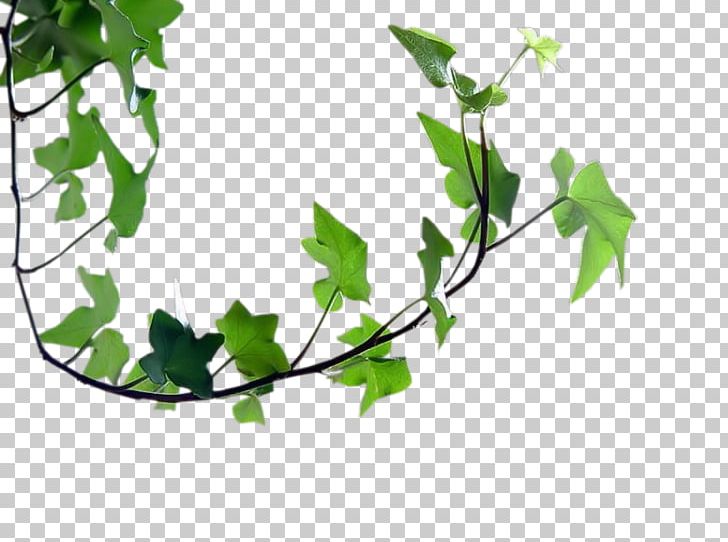 Spring Animaatio PNG, Clipart, Animaatio, Anime, Branch, Ecard, Feuille Free PNG Download