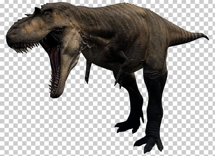 Albertosaurus Tyrannosaurus Velociraptor Carcharodontosaurus Stygimoloch PNG, Clipart, Albertosaurinae, Albertosaurus, Campanian, Carcharodontosaurus, Carnotaurus Free PNG Download