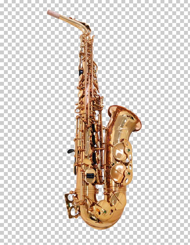 Baritone Saxophone Clarinet Family Bass Oboe PNG, Clipart, 01504, Bacon Bits, Baritone, Baritone Saxophone, Bass Free PNG Download