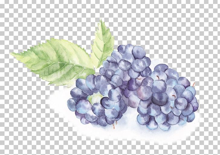 Watercolor Painting Illustration PNG, Clipart, Bilberry, Blackberries, Blackberry, Blueberry, Canvas Free PNG Download