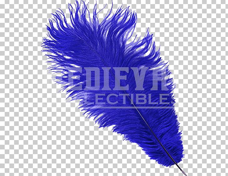 Feather PNG, Clipart, Animals, Blue Feather, Feather, Purple, Quill Free PNG Download