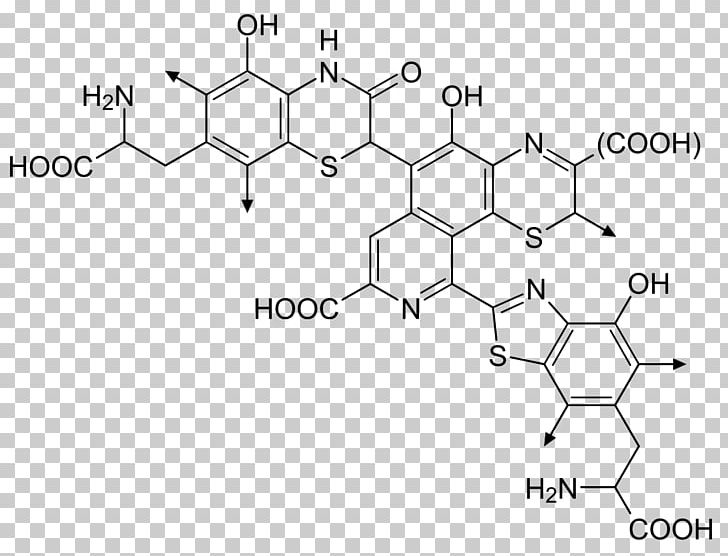 Feomelanin Human Skin Color Molecule PNG, Clipart, Angle, Black And White, Chemical Compound, Chemical Structure, Chemical Substance Free PNG Download