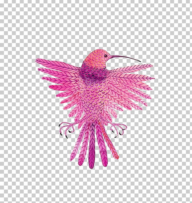 Hummingbird Drawing PNG, Clipart, Animal, Animals, Beak, Bird, Bird Cage Free PNG Download