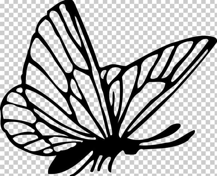 Butterfly Drawing PNG, Clipart, Artwork, Brush Footed Butterfly, Flower, Insects, Leaf Free PNG Download