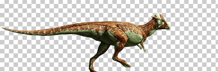 Triceratops Tyrannosaurus Velociraptor Pachycephalosaurus Hadrosaurus PNG, Clipart, Animal Figure, Ankylosaurus, Coprolite, Cretaceous, Dinosaur Free PNG Download
