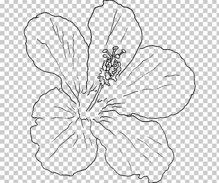 Shoeblackplant Hawaiian Hibiscus Swamp Rose Mallow Drawing Flower PNG, Clipart, Black, Black And White, Branch, Common Hibiscus, Cut Flowers Free PNG Download