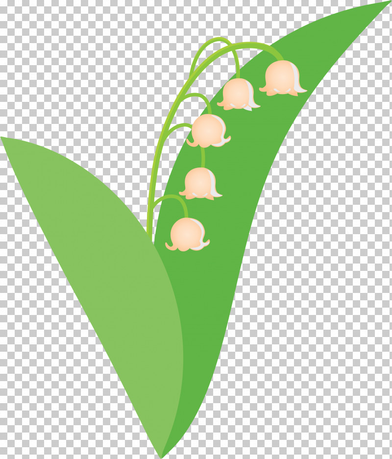 Lily Bell Flower PNG, Clipart, Flower, Green, Leaf, Lily Bell, Logo Free PNG Download