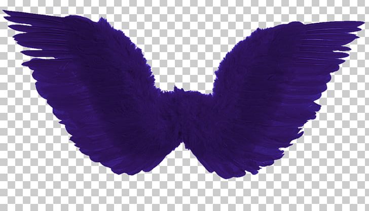 Costume Party Clothing Accessories Disguise Dress PNG, Clipart, Aile, Blue, Butterfly, Child, Clothing Free PNG Download